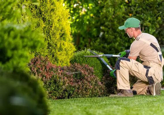 Lawn Maintenance